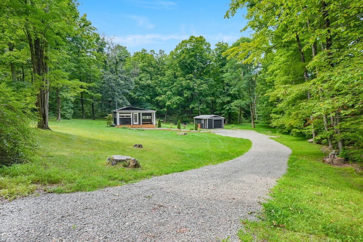 The gravel drive curving through the woods toward the cabin and its shed